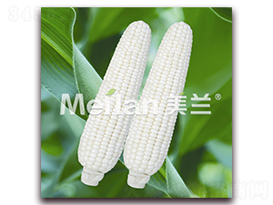 �������Ŵ8̖-��Ŵ���׷N��-�G��