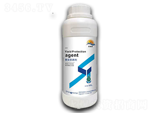 ʥ��(w��n)̩��������-����r(n��ng)��