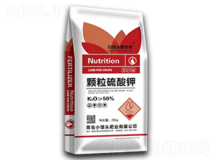 �w�������-С�z�^