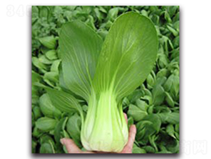 ����1̖-�Ͳ˷N��-���߷N�I(y��)