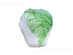 ɽ�|��̖-�ײ˷N��-���߷N�I(y��)