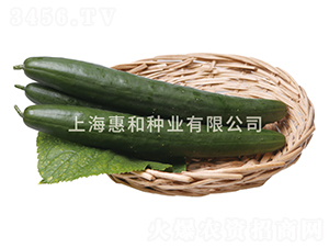 ���Gһ̖(h��o)-�S�ϷN��-�ݺͷN�I(y��)