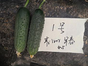 ��ɯ168-�S�ϷN��-����N��