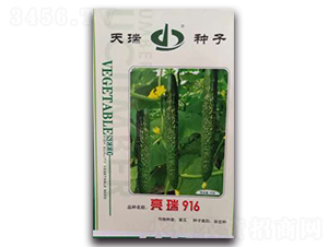 ����916-�S�ϷN��-����N��