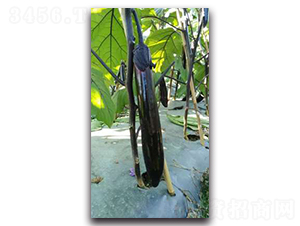 ����s��-���ӷN��-����N��