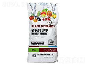 ���}�V⛷�-ؐ�Z��-ؐ�Z