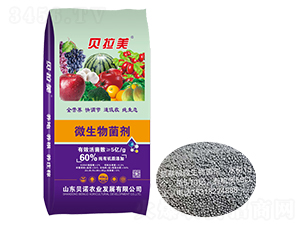 ؐ����΢�������-ؐ�Z