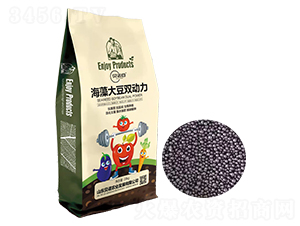 ������p����-ؐ�Z��-ؐ�Z