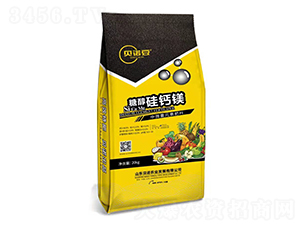 �Ǵ����}�V-ؐ�Z��-ؐ�Z