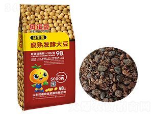 ����������l(f��)�ʹ�-ؐ�Z