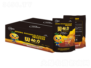 �VԴ�S�����-ؐ����-ؐ�Z