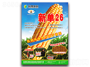 ��26-���׷N��-��ʥ��