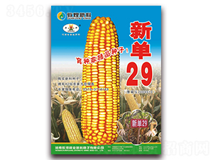 ��29-���׷N��-��ʥ��