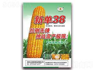 ��38-���׷N��-��ʥ��