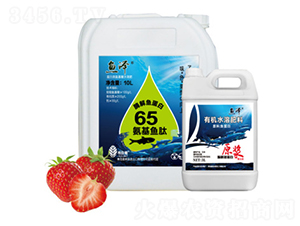 酶解魚蛋白-魚澤-索納米