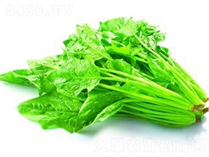 �(y��u)���~�󲤲�-���˷N��-�(y��u)�r(n��ng)�I(y��)