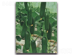 ����-�S�ϷN��-�(y��u)�r(n��ng)�I(y��)