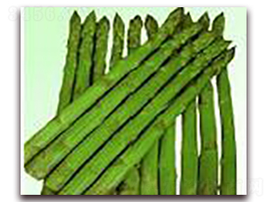 美加115-蘆筍種子-睿優(yōu)農(nóng)業(yè)