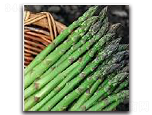 阿波羅-蘆筍種子-睿優(yōu)農(nóng)業(yè)