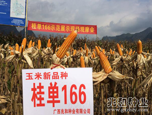 ����166-���׷N��-�׺ͷN�I(y��)