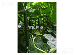 ���L(f��ng)1̖(h��o)-�S�ϷN��-���@�N�I(y��)