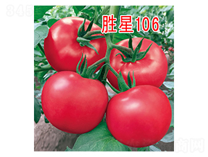 ����106-���ѷN��-���@�N�I(y��)