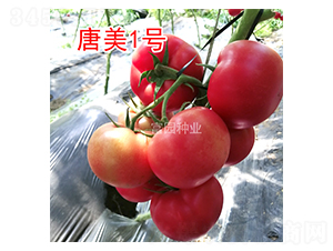 ����1̖(h��o)-���ѷN��-���@�N�I(y��)