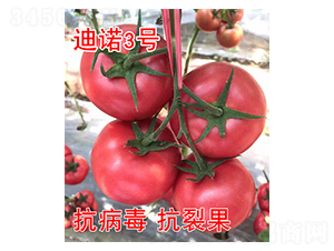 ���Z3̖(h��o)-���ѷN��-���@�N�I(y��)