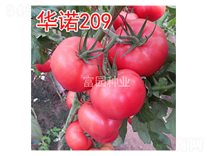 �A�Z209-���ѷN��-���@�N�I(y��)