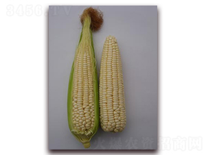 �K��Ŵ102-Ŵ���׷N��-�L(zh��ng)���N��