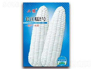 100g�L(zh��ng)��Ŵ2̖(h��o)-Ŵ���׷N��-�L(zh��ng)���N��