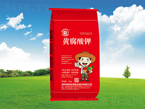 �S�����-�������