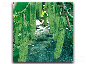 ��´��̖(h��o)-�S�ϷN��-���зN�I(y��)