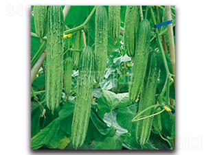 ��´��̖(h��o)-�S�ϷN��-���зN�I(y��)