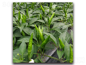 ����54-���콷�N��-���зN�I(y��)