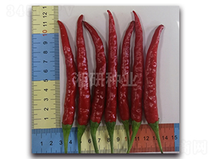 ����708-���콷�N��-���зN�I(y��)