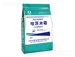 ΢�������-����ľù-�L(zh��ng)̩����