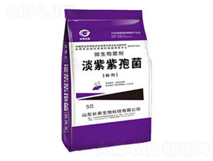 �������۾�-�L̩����