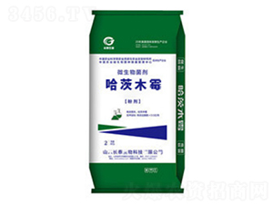 ����ľù���G����-�L̩����