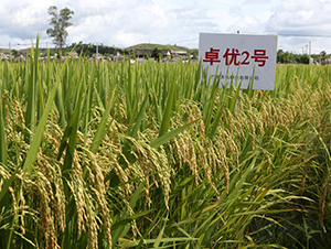 ׿��(y��u)2̖(h��o)-ˮ���N��-���N�I(y��)