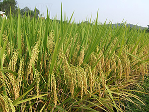 �f����(y��u)802-ˮ���N��-���N�I(y��)