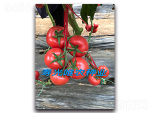 ������F1-�۹����ѷN��-Ψ�r(n��ng)�N�I(y��)