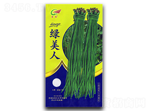 綠美人（黃袋）-豇豆種子-宏雨