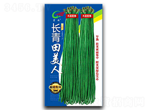 �L��������-�����N��-����