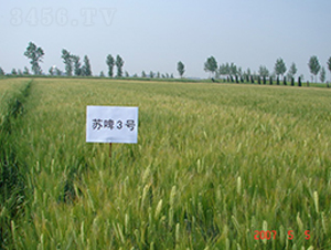 �Kơ3̖(h��o)-�����N��-�к̷N�I(y��)