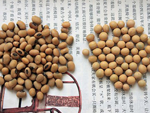 ��9805-�S���N��-�к̷N�I(y��)