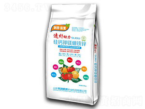 ���}��V���F�\-���a����-�S�r(n��ng)��