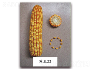 �K��22̖-���׷N��-�к̷N�I(y��)