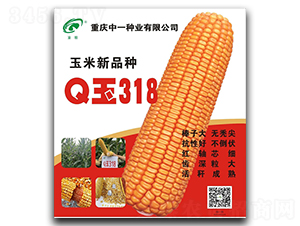 Q��318-���׷N��-��һ�N�I(y��)