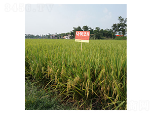 Q��(y��u)28̖-ˮ���N��-��һ�N�I(y��)